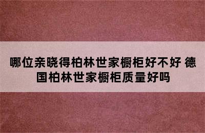 哪位亲晓得柏林世家橱柜好不好 德国柏林世家橱柜质量好吗